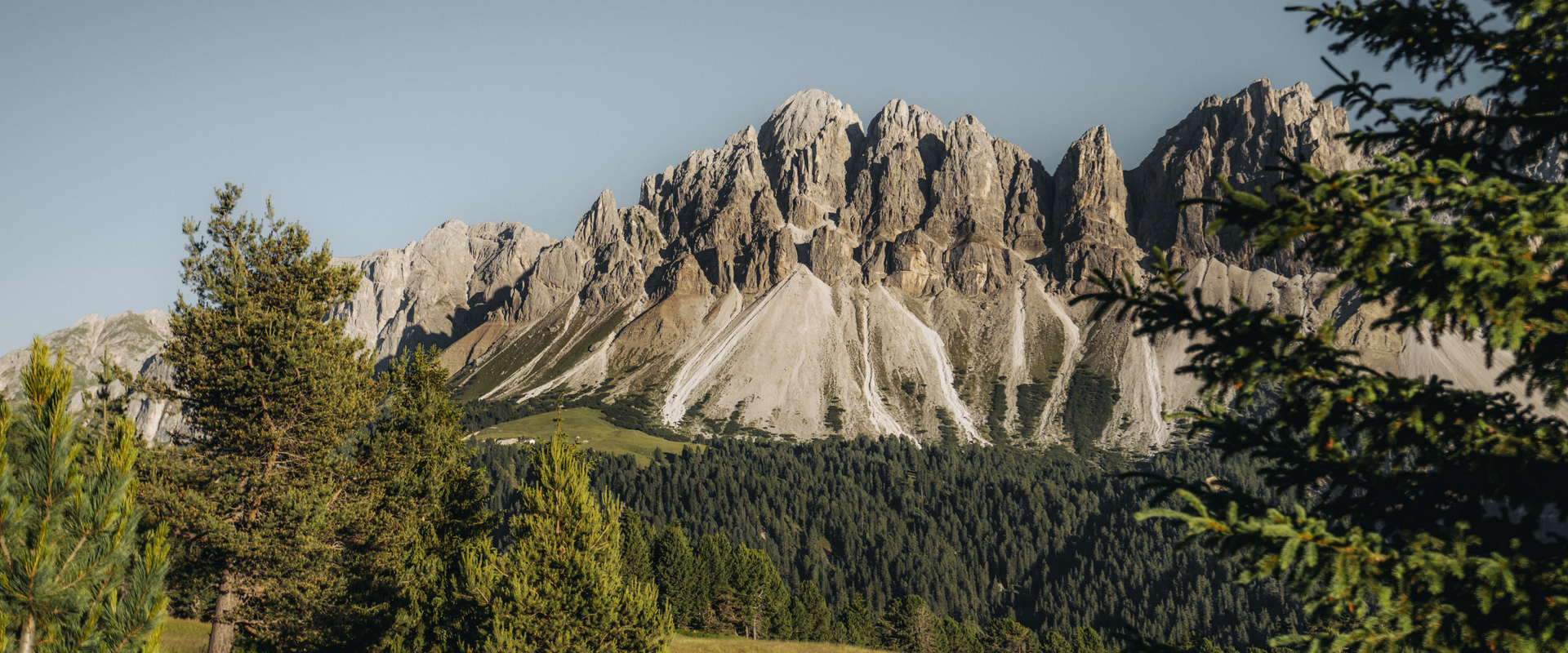 Aferer Geisler Coniferous forest and Dolomites peaks in the background
