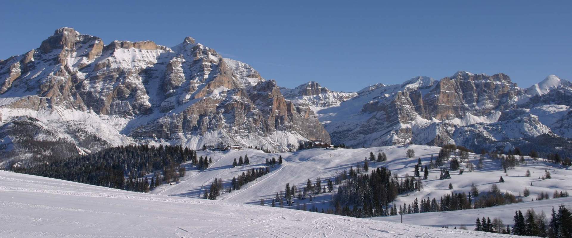 Alta Badia Ski slopes, snow-covered trees and the Dolomites.