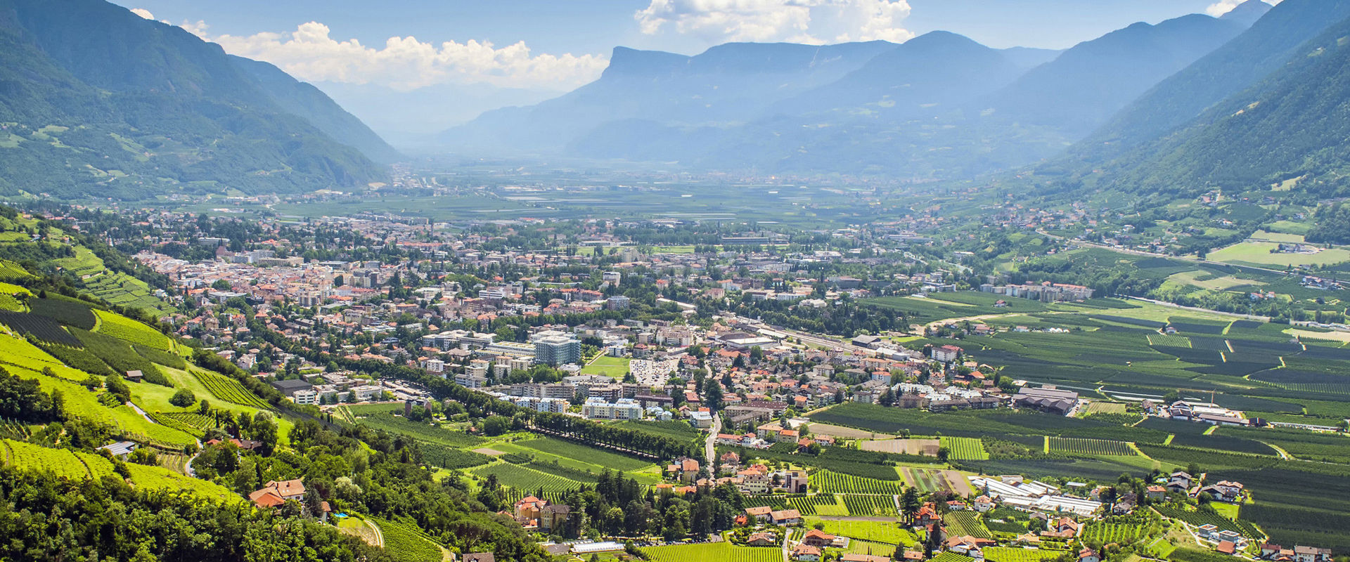 Meran View of Meran and environs, surrounded by vineyards.