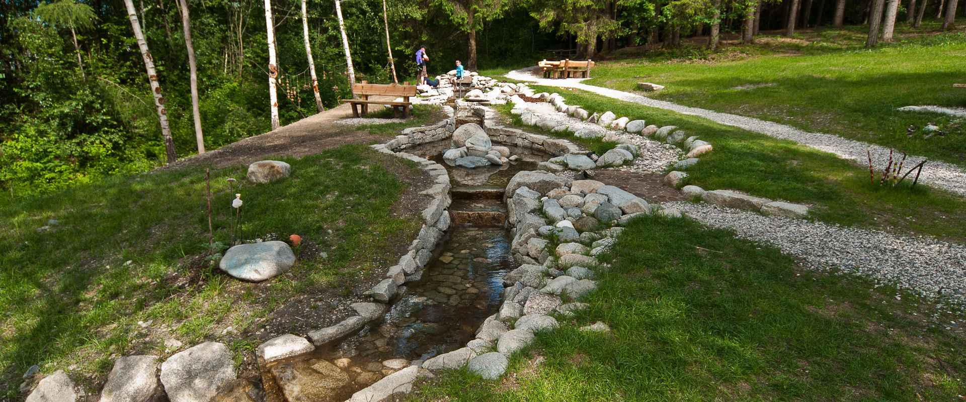 Kneipp path in Reischach Kneipp path built with stones in the forest