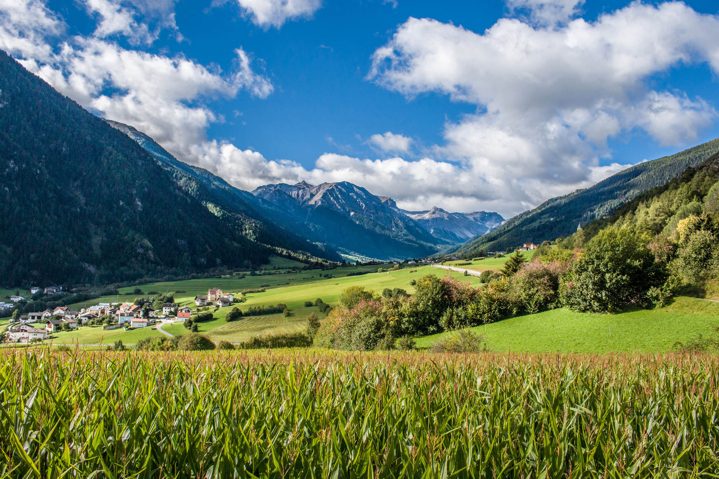 Taufers in the Münstertal between meadows and forests.