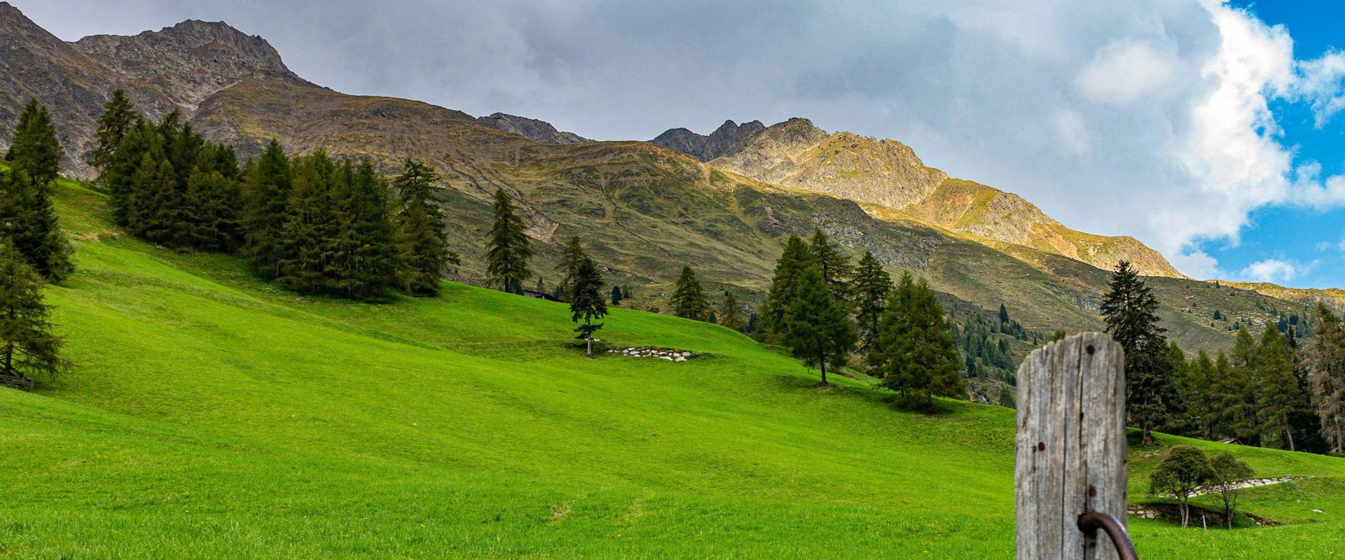 Gsies View of a lush green meadow in Gsies Valley