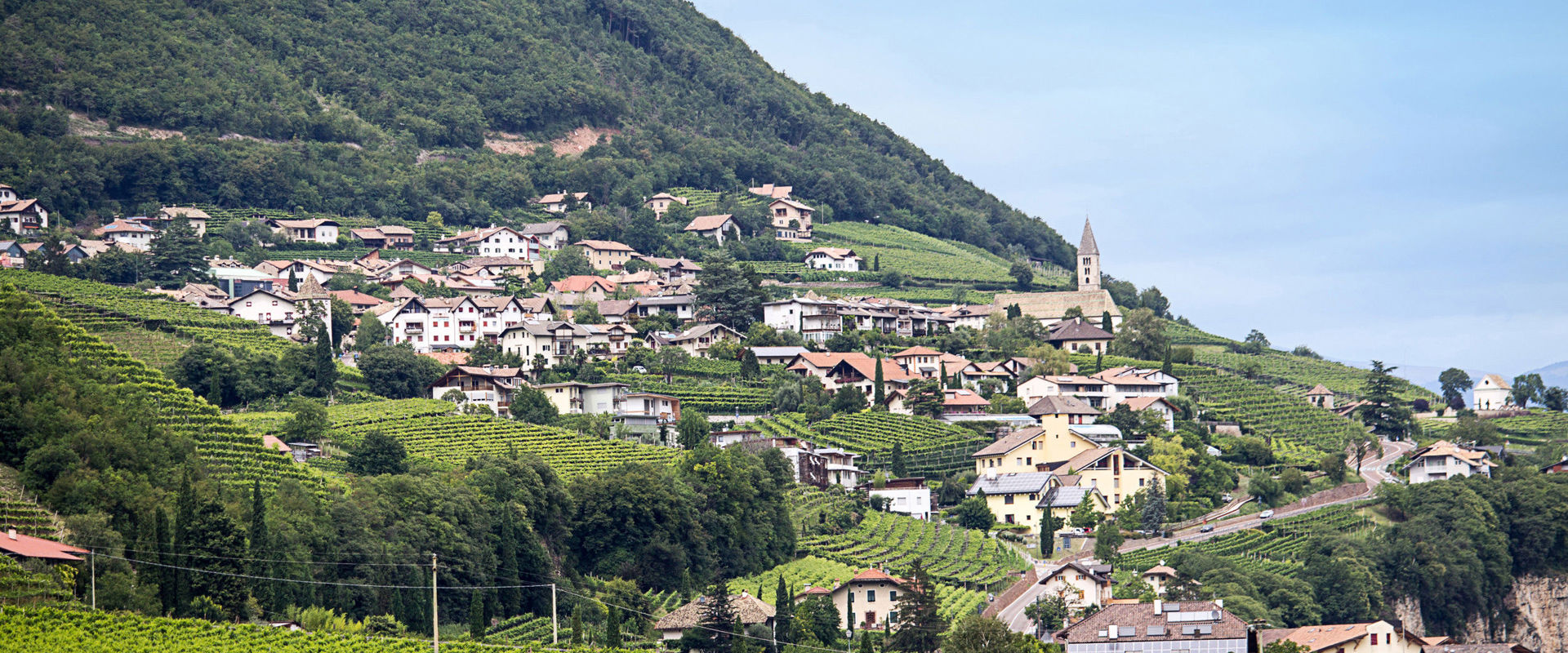 Kurtatsch  The village of Kurtatsch in the middle of vines and orchards.