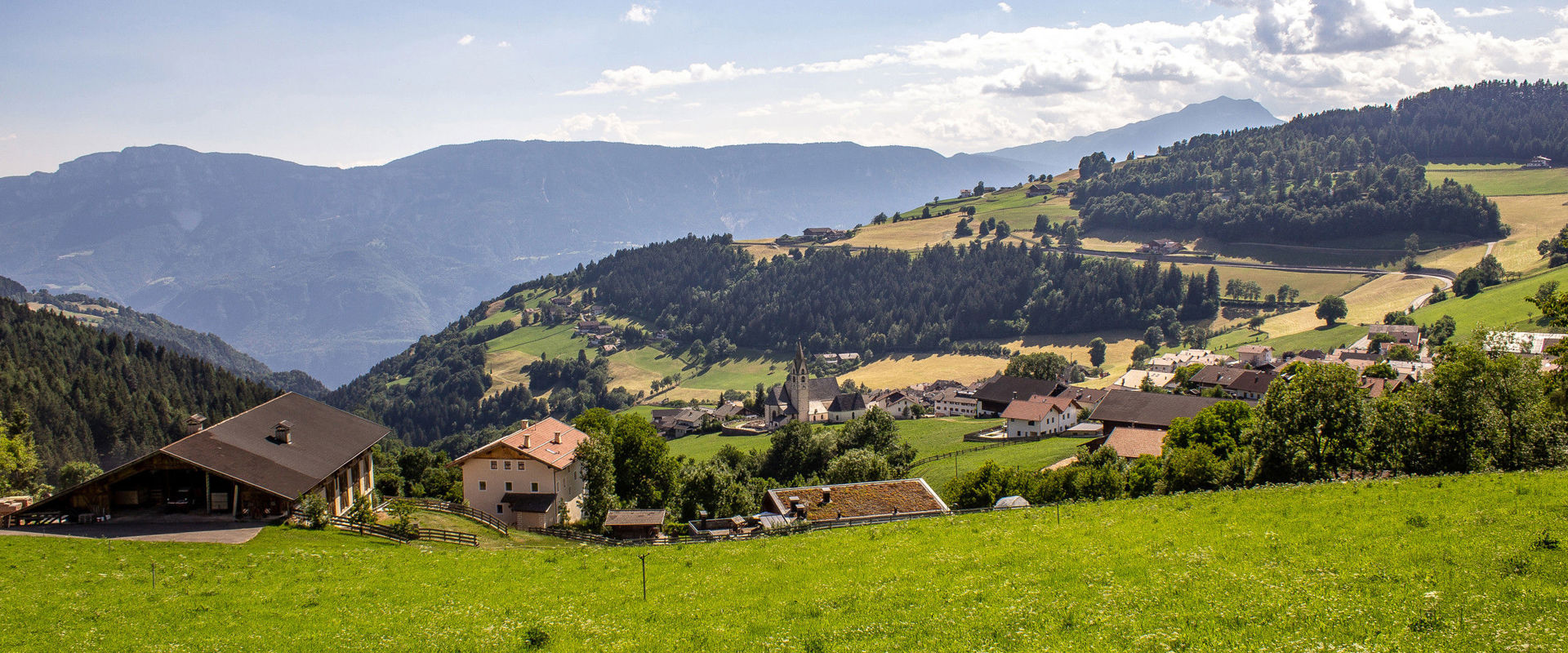 View of Mölten with woods and meadows