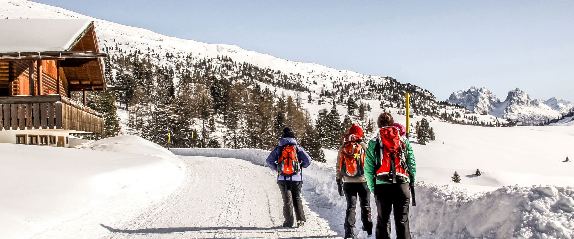 Three hikers along the snow-covered road.