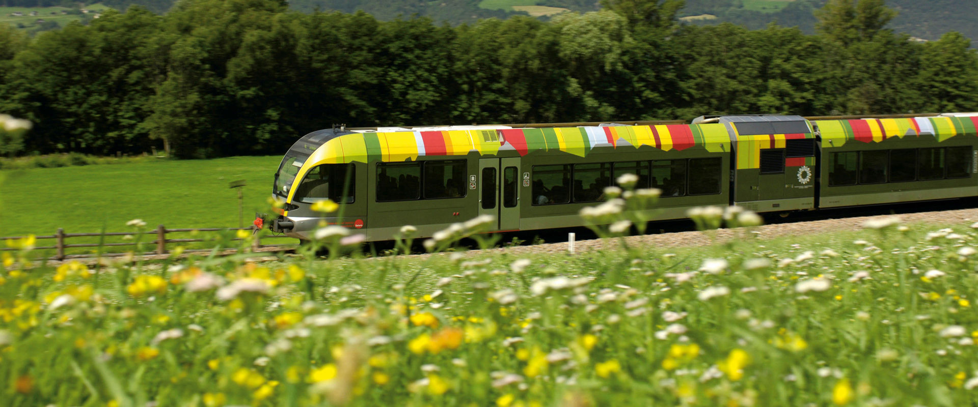 Travelling by train Train travelling through flowering meadows. A green mountain landscape in the background.