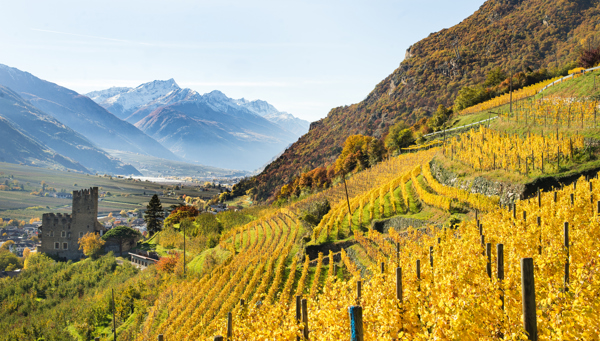 Les plaisirs de l'automne à Naturno
