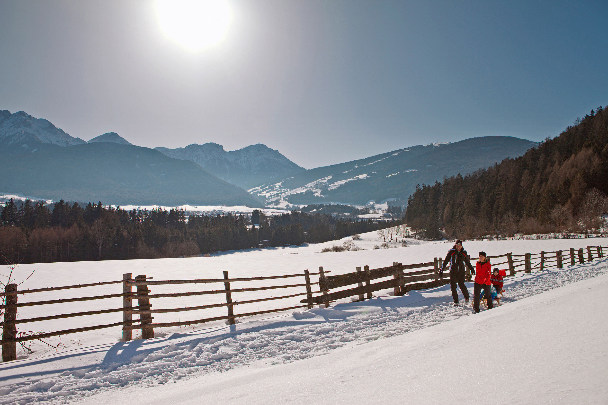 Man and woman pulling two children on sledges through sunny winter landscape.