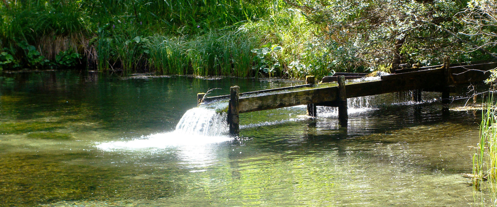 Fresh water flows into the pond via a wooden channel.