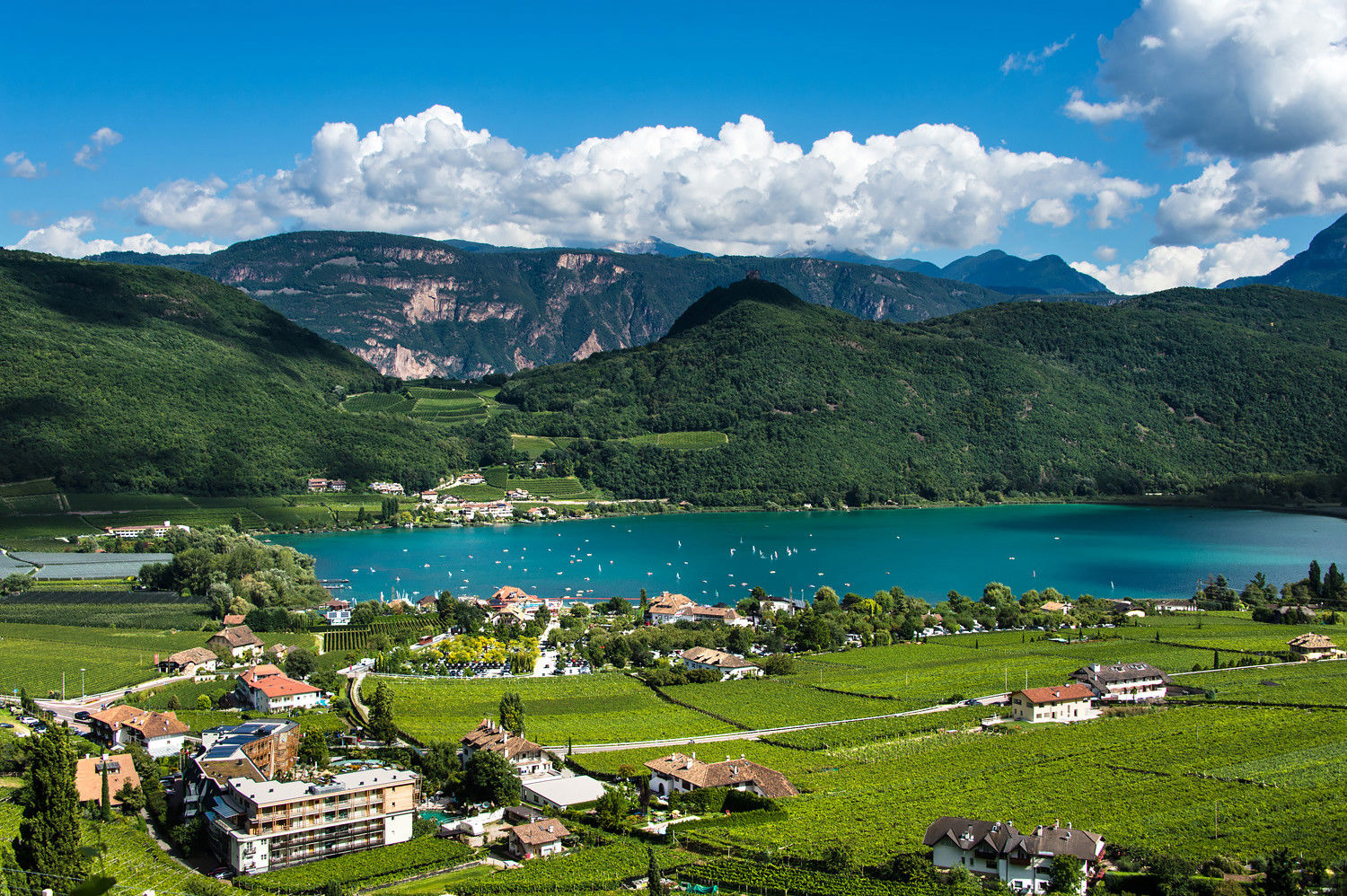 The turquoise blue Lake Kaltern amidst vines, houses and trees.