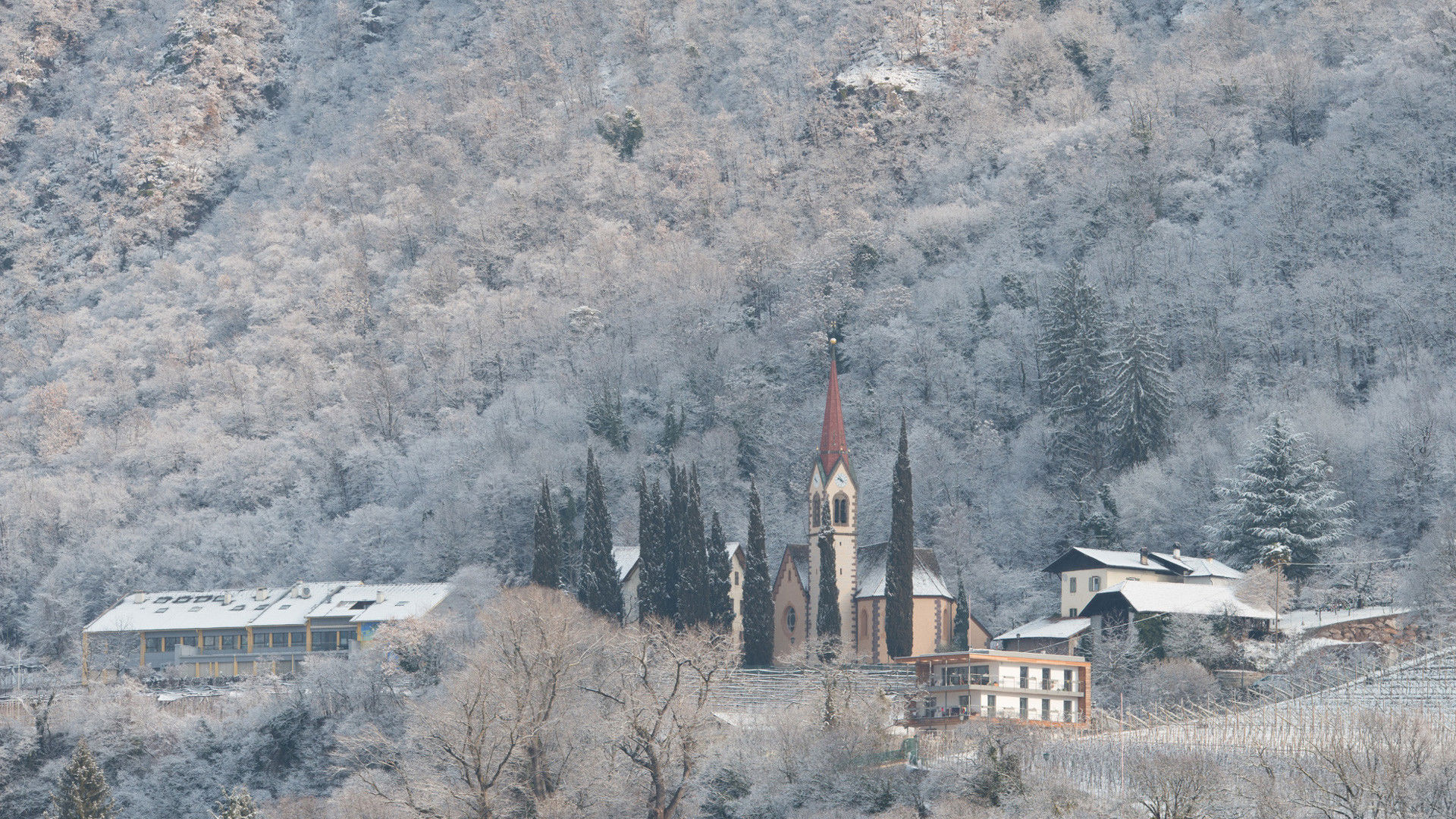 Burgstall parish church and woods in winter