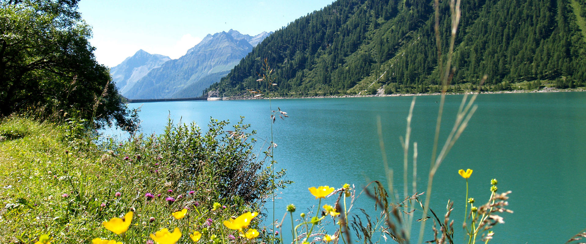 Neves reservoir View of the Neves reservoir, flowering meadows and high mountains.