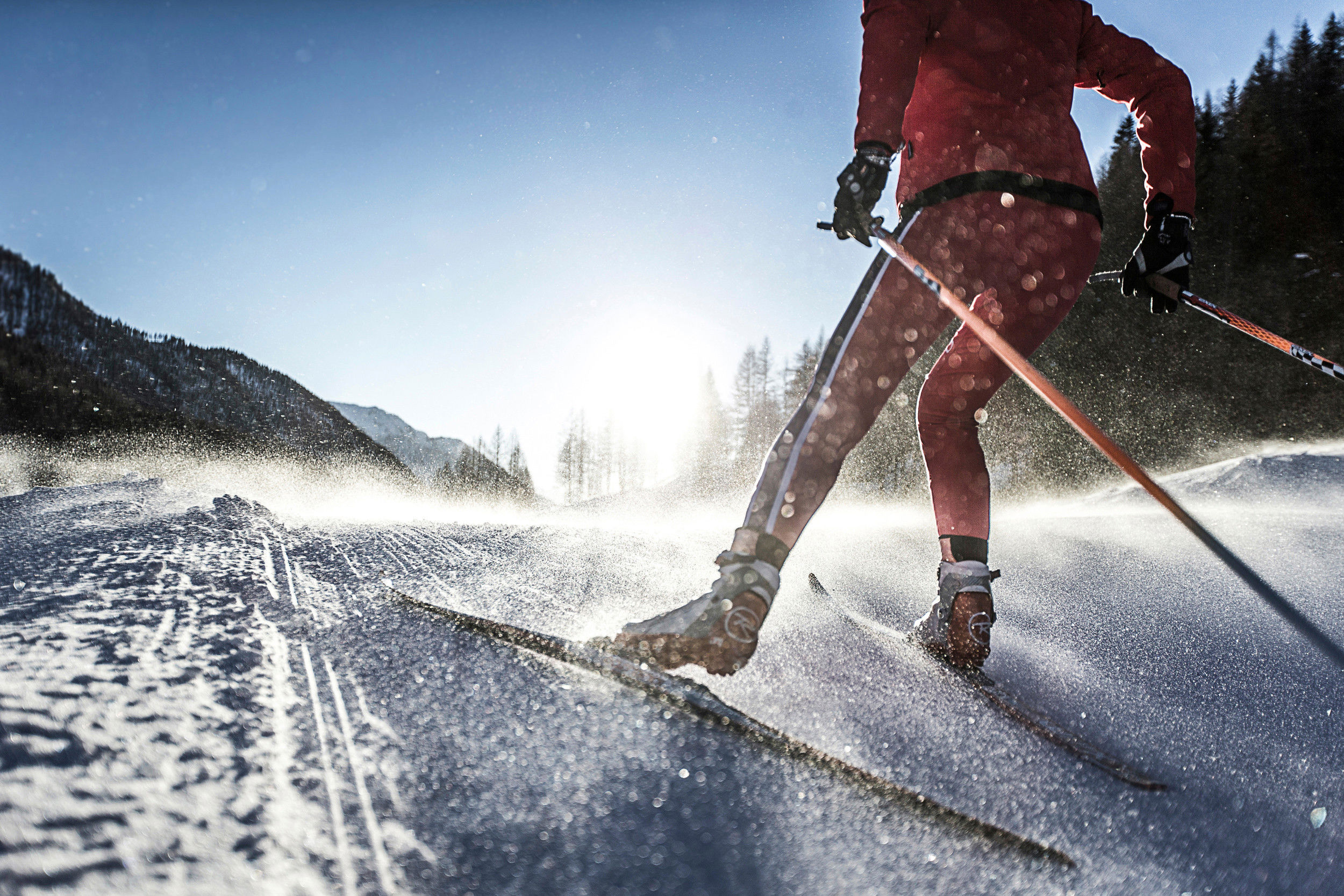 Cross-country skier rides towards the sun.