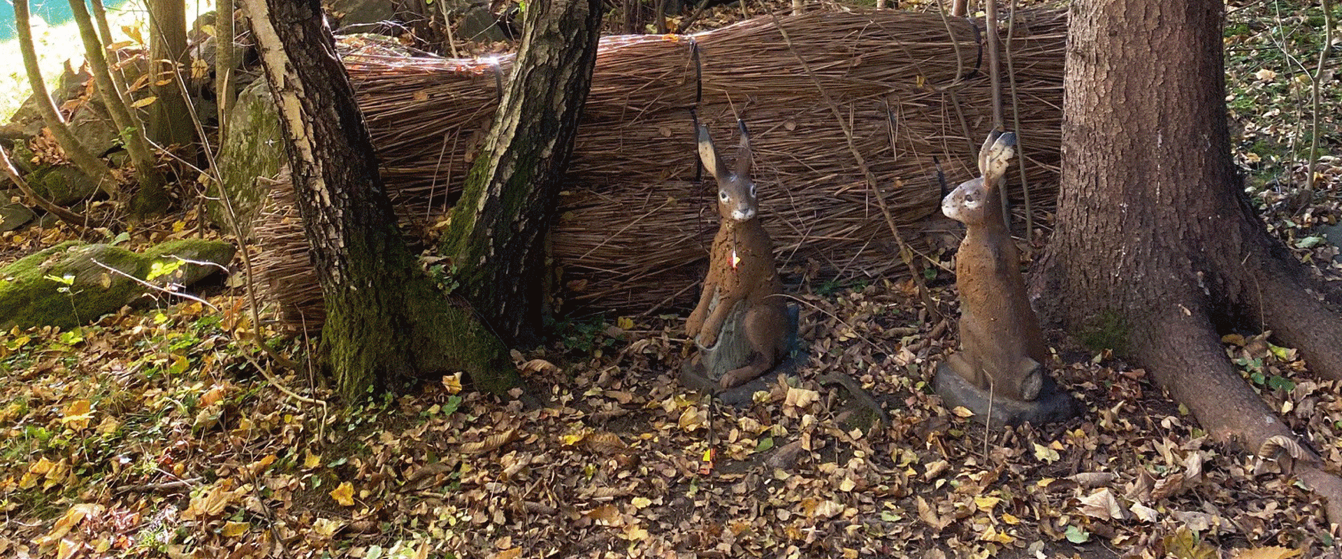 Archery course at Lake Vahrn. 3D rabbits along the archery range at Lake Vahrn.