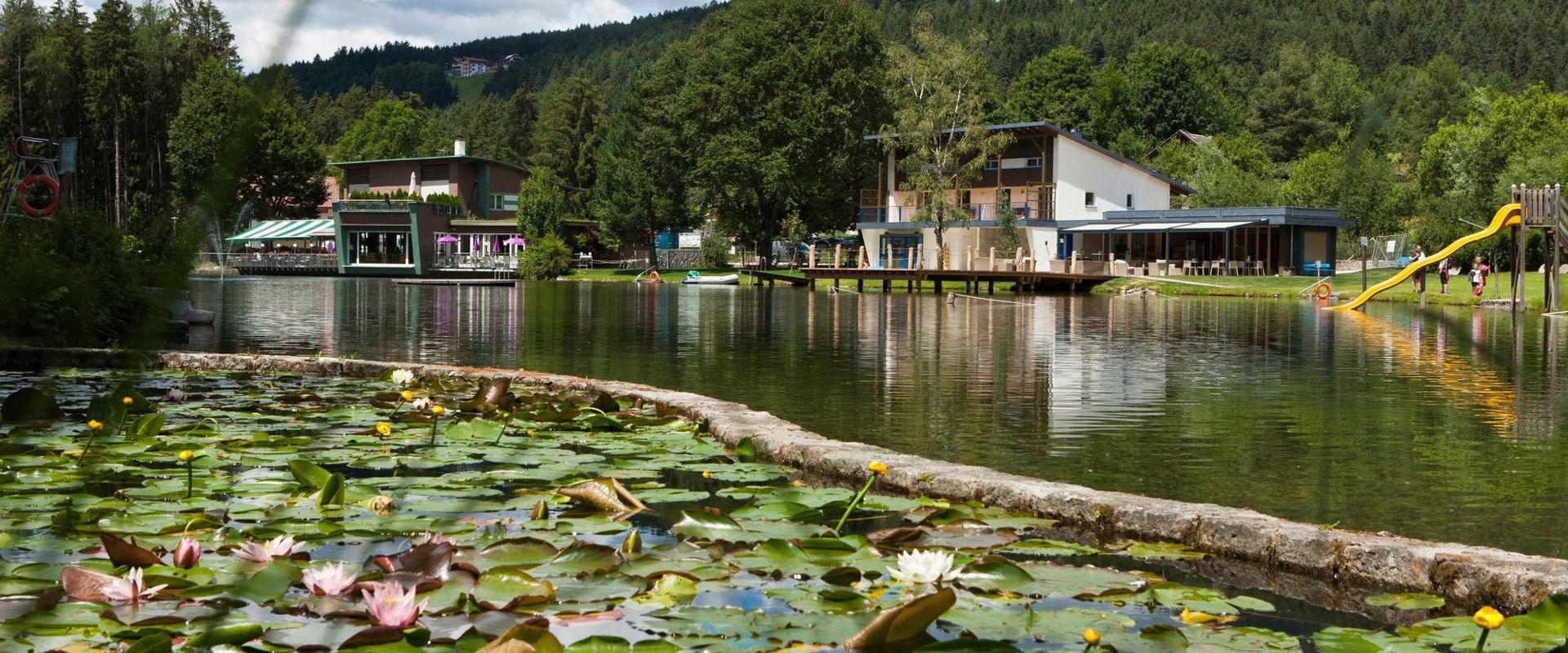 Water lilies on Lake Issinger Weiher