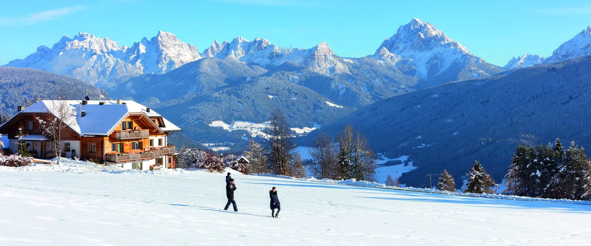 A family of three strolls across the freshly snow-covered meadow.