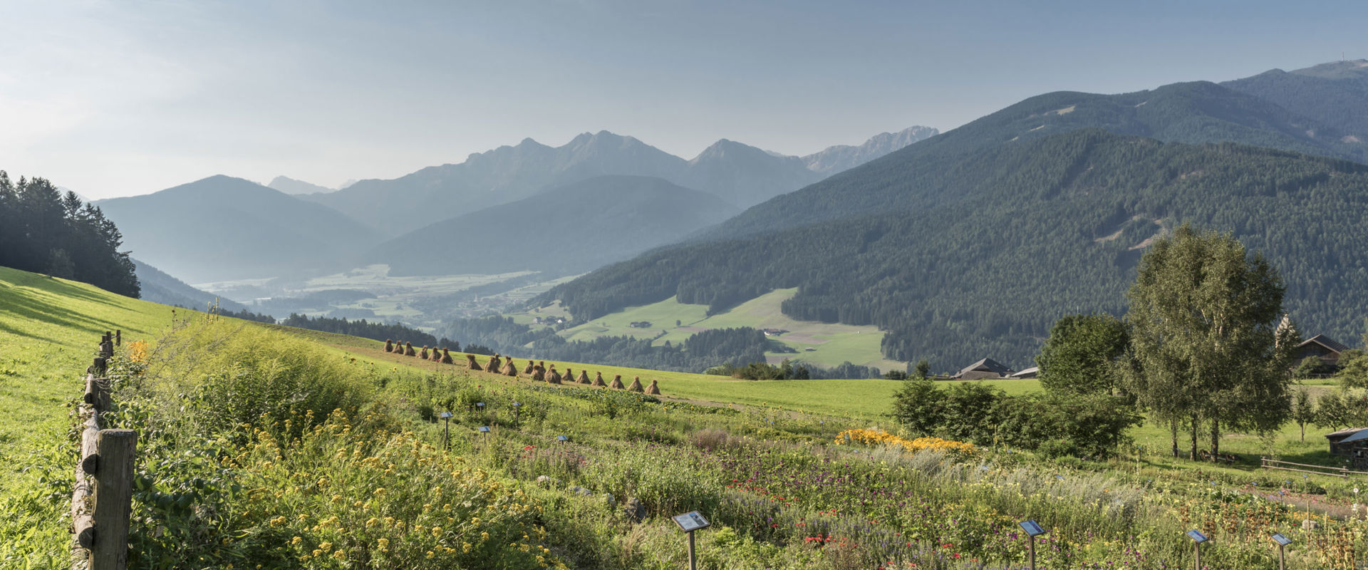 Wonderful herb garden near Percha with view over Pustertal Valley