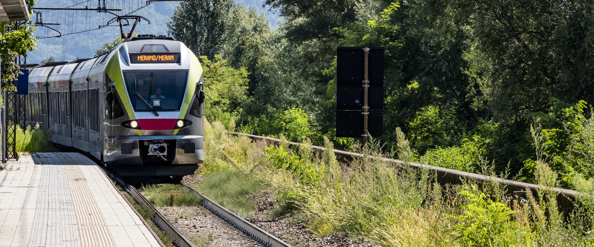 Train arriving at railway platform, lined with bushes and trees