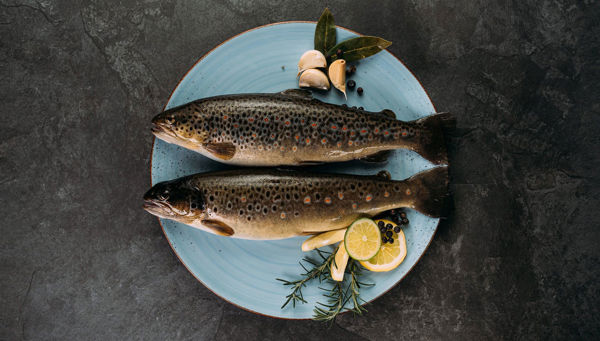 Spécialités de poisson du Val Passiria et du Val Pusteria
