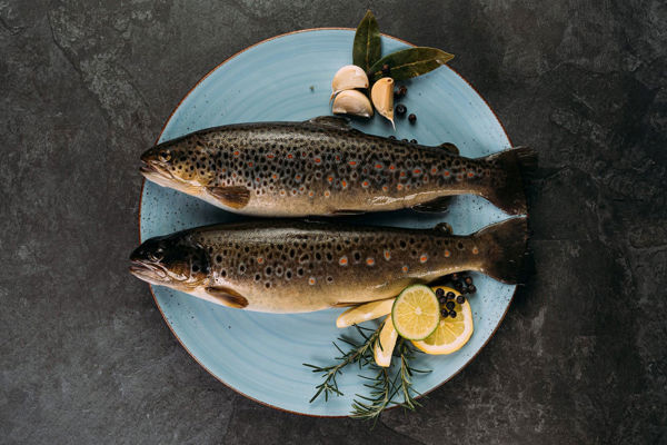 Fish specialities from the Passeiertal valley