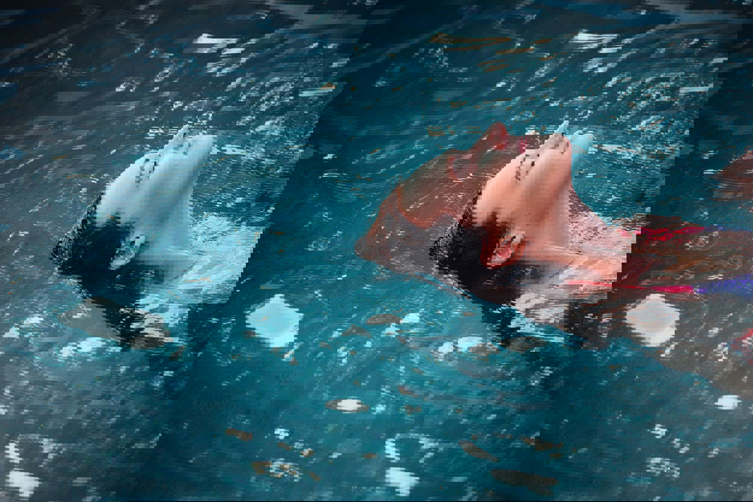 Woman drifting in the water with closed eyes.