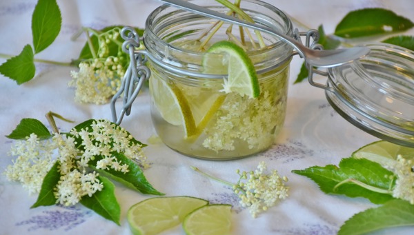 Sirop de fleurs de sureau