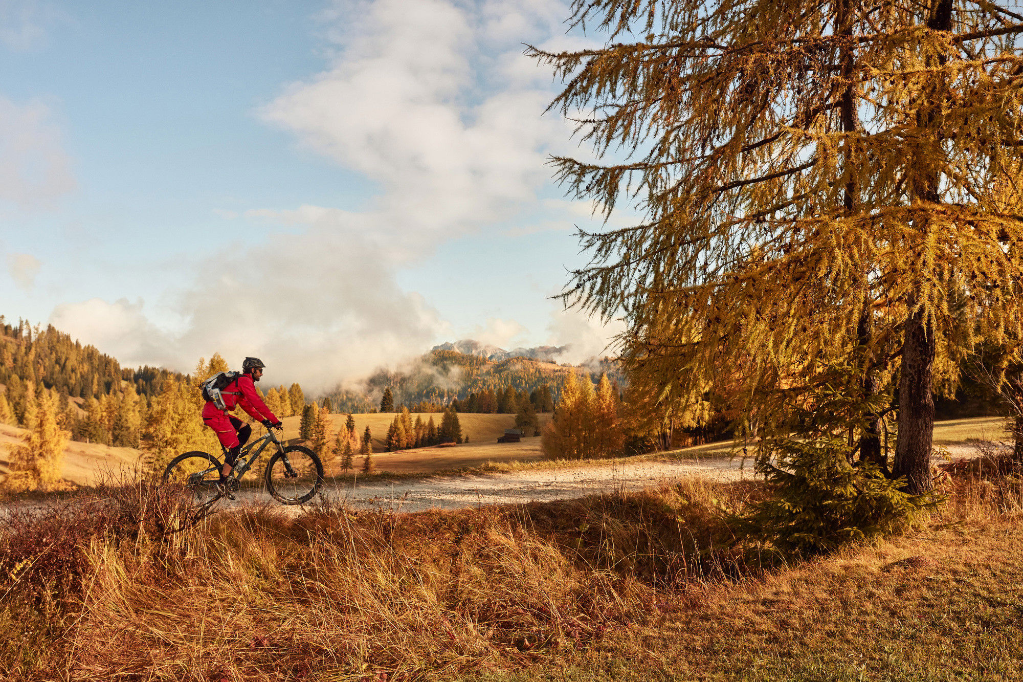 Cyclist riding on a flat path in front of a yellow-coloured autumn landscape.