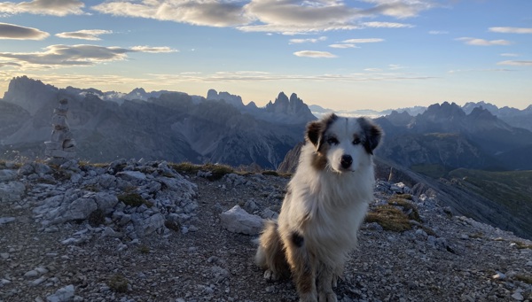 Randonnée avec un chien dans les Dolomites